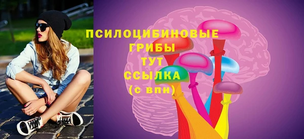 крисы Бугульма