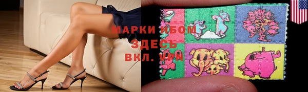 spice Бородино