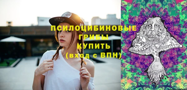 крисы Бугульма