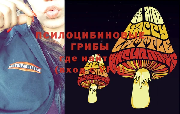прущая мука Бронницы