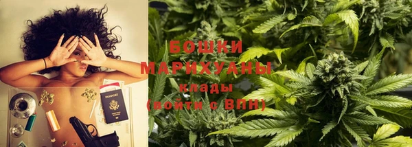 крисы Бугульма