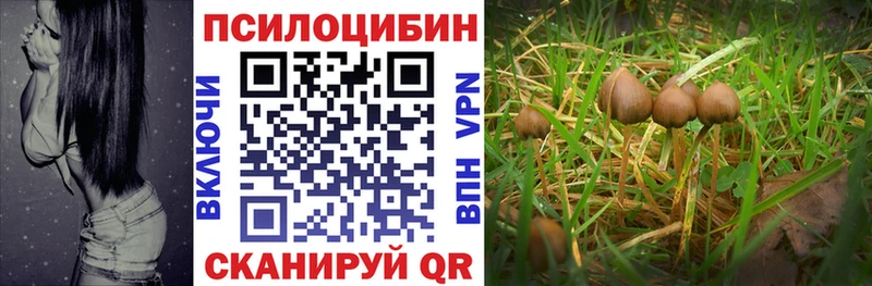 Галлюциногенные грибы MAGIC MUSHROOMS  Фёдоровский 